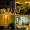 LED Fairy String Lights, 10 Ft/3M 30leds Firefly String Lights Garden Home Party Wedding Festival Decorations Crafting Battery Operated Lights, Warm White